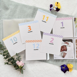 スクエアアルバムカード ストライプ コメント欄付き その他雑貨