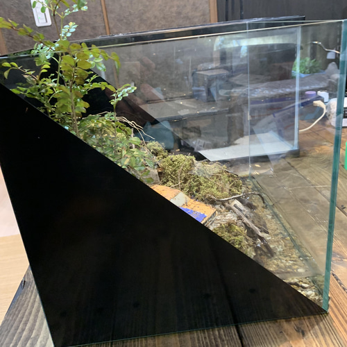 ジオラマ×テラリウム 作品 草ヒロと渓谷 放置車両の情景