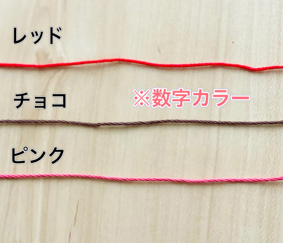 ケーキ帽子肉球チョコ付き(犬ちゃん猫ちゃん用) 3枚目の画像