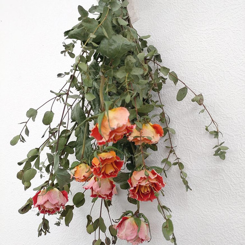 オレンジのバラとユーカリのドライフラワースワッグ ドライフラワー