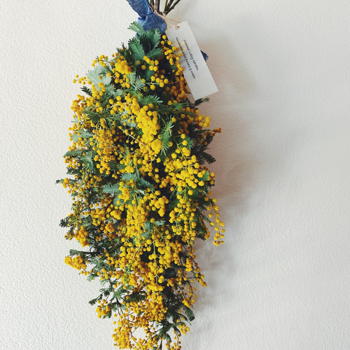 ミモザのスワッグ ロングタイプH スワッグ Creams Lazy Garden 通販