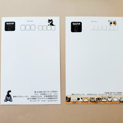 ゆる猫ポストカードセット【10枚セット】 7枚目の画像
