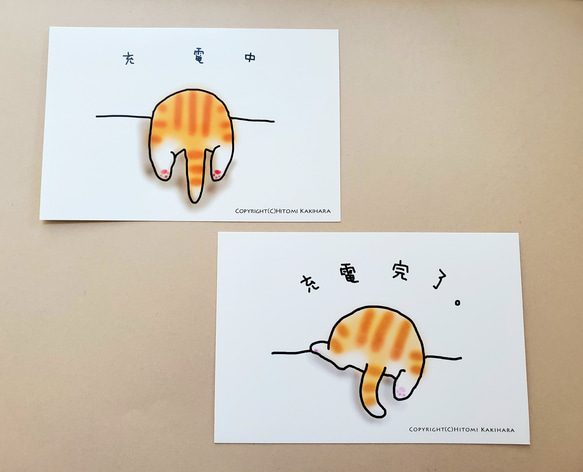 ゆる猫ポストカードセット【10枚セット】 3枚目の画像