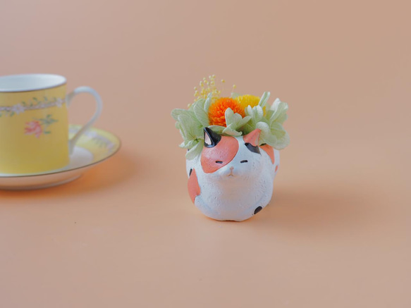 三毛猫のナチュラルアレンジ【プリザーブドフラワー】母の日 1枚目の画像