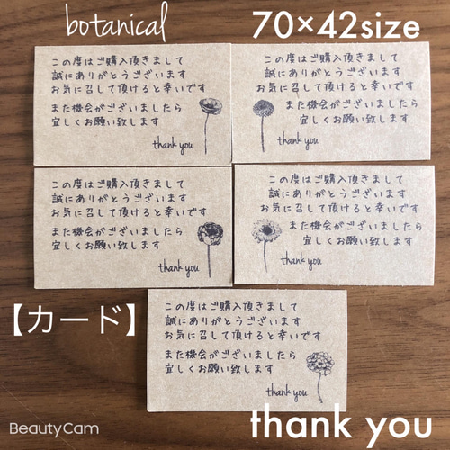 70×42サイズ 大きめ サンキュー【カード 63枚】手紙風 ボタニカル タグ