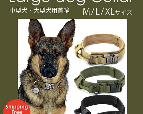 58a215be8bfb5982cd4a7bdff63e5b