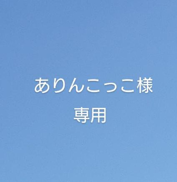 ありんこっこ様 専用 1枚目の画像