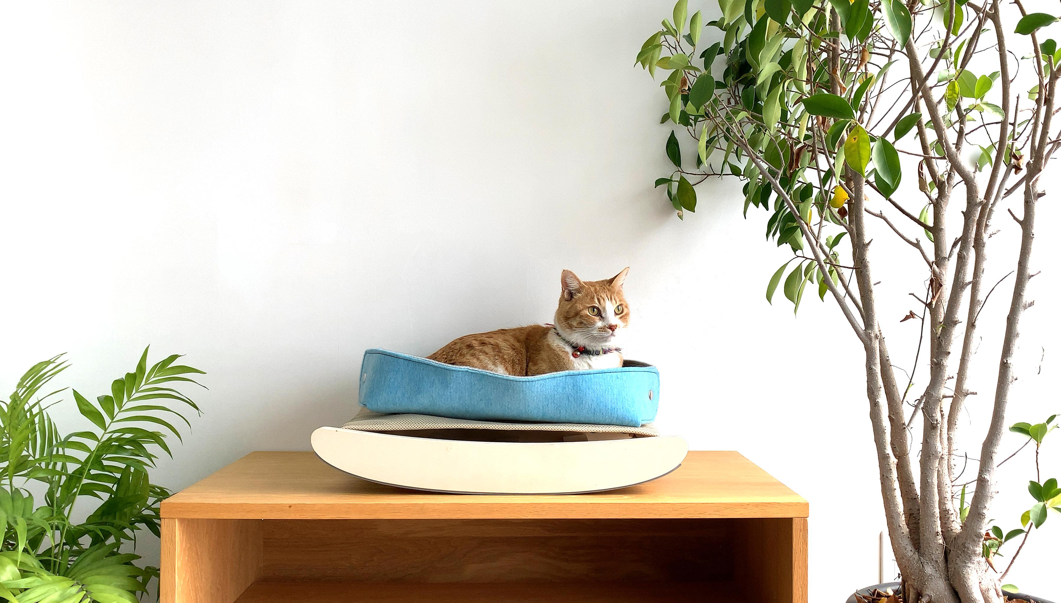 のらねこページ 楽天市場】【49%引き】 ムサシ ソーラー猫しっし（REP-610） 超