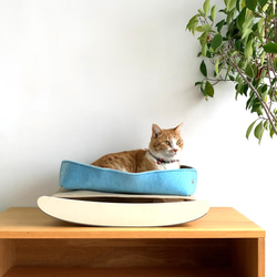 快適と清潔の両立。ばね ＋ ねぐら = 新型猫ベッド「ばねぐら」 1枚目の画像