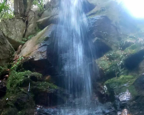 4701891c08ca14af743a3b0ae0da0c