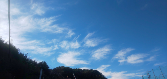 龍雲と不思議な写真３枚セット（Lサイズ） 2枚目の画像
