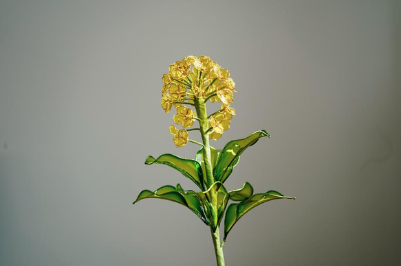 菜の花のインテリアフラワー 1枚目の画像