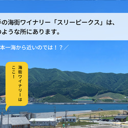 ギフト可｜誕生日｜御祝｜ 爽やかな柑橘系の香りと上品な味わい 白ワイン シャルドネ 750ml 8枚目の画像