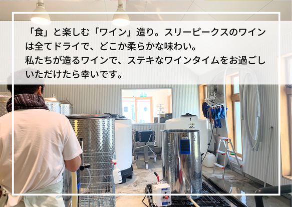 ギフト可｜誕生日｜御祝｜ 爽やかな柑橘系の香りと上品な味わい 白ワイン シャルドネ 750ml 7枚目の画像