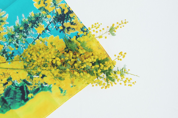 アートを持ち歩く　花をプリントしたハンカチ　大判　ミモザ　黄緑 5枚目の画像