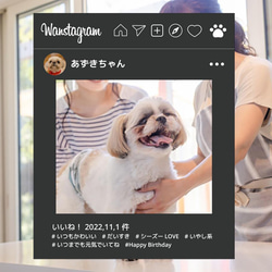 ペット 写真 パネル 顔出し｜インスタ｜SNS｜オフ会｜年賀状｜店舗｜ペットサロン｜犬｜ねこ｜ハロウィン｜No.14 1枚目の画像