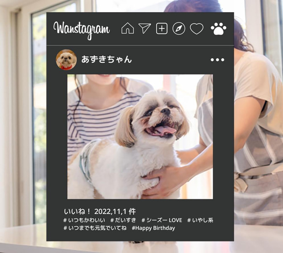 ペット 写真 パネル 顔出し｜インスタ｜SNS｜オフ会｜年賀状｜店舗｜ペットサロン｜犬｜ねこ｜ハロウィン｜No.14 1枚目の画像