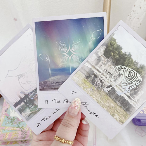 トゥルーノースタロット　True North Tarot　(新品) トゥルーノースタロット TRUE NORTH TAROT - メルカリ