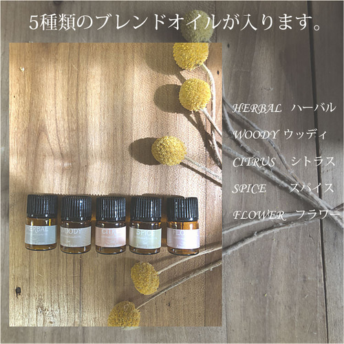 ドテラ オイルサンプル用 冊子 汚い
