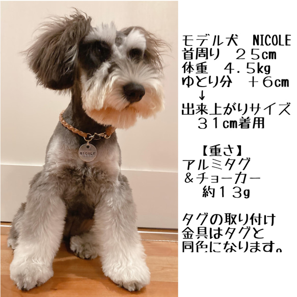 【再販】⭐︎ターコイズの願い星⭐︎ 犬用 ネームタグ 付き 星 金具の 本革 チョーカー（迷子札→アルミor真鍮選択） 8枚目の画像