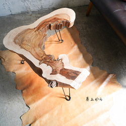 杉の輪切り　折りたたみテーブル 4枚目の画像