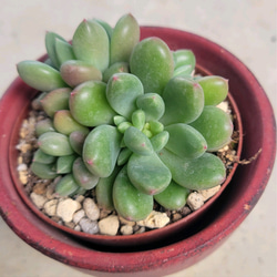 037063ea7c7364f7d0bcf3059c5917