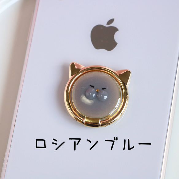 猫【うちの子スマホリング】 15枚目の画像