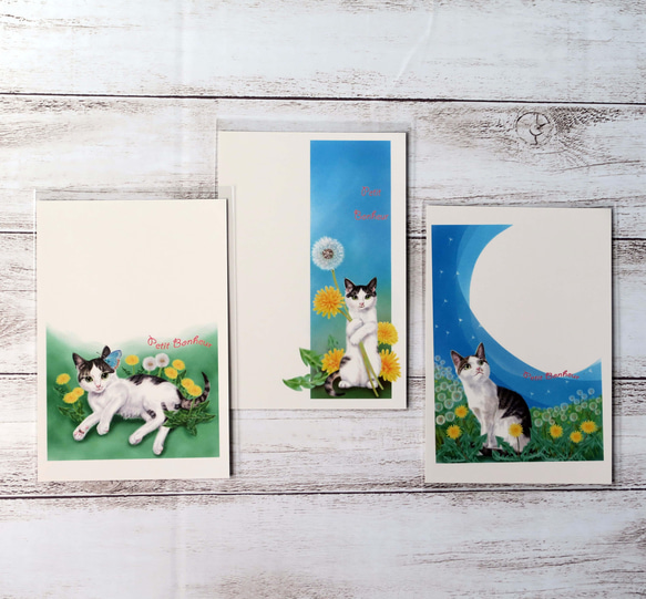 ポストカード３枚セット〈～Bonheur～たんぽぽとサバトラ子猫〉 1枚目の画像