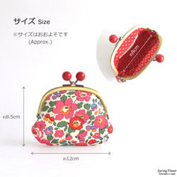 Candy frame purse(MS) -Liberty "Dreams of Summer" [048] 第7張的照片