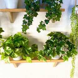 【人工観葉植物】マーブルポトス(ホワイトストーン・下棚左)フェイクグリーン インテリアグリーン　観葉植物 1枚目の画像
