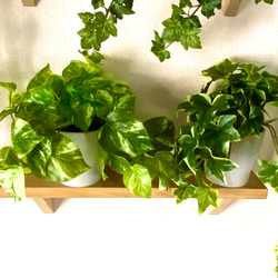 【人工観葉植物】マーブルポトス(ホワイトストーン・下棚左)フェイクグリーン インテリアグリーン　観葉植物 3枚目の画像