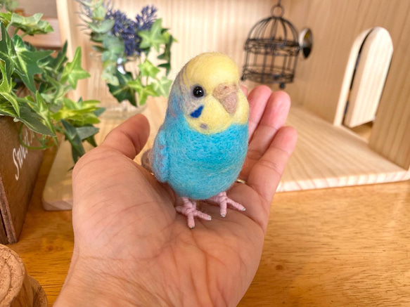 セキセイインコ(パステルカラーレインボー) 羊毛フェルト