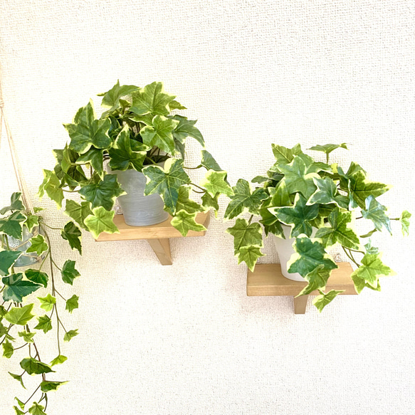 【人工観葉植物】アイビー(ホワイトストーン・下棚右）フェイクグリーン インテリアグリーン　観葉植物 6枚目の画像