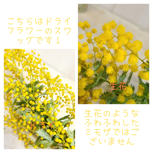 fsm《épanouissement》ミモザのナチュラルスワッグ ボタニカル ドライ
