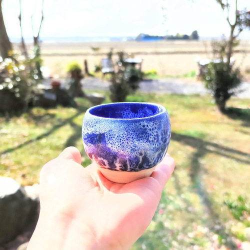 盆栽鉢　植木鉢　陶園芸　盆栽 産地直送 金芽ケヤキ Mサイズ 鉢色 藍／山形 石木花からお届け