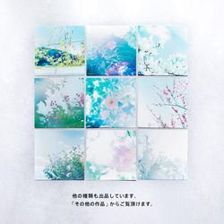 乙女椿 3枚セット（野花のしかくいポストカード）オトメツバキ・写真・正方形・メッセージカード 4枚目の画像