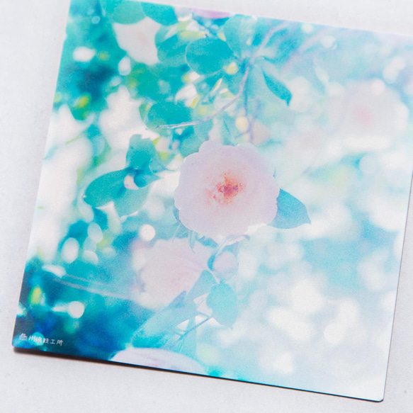 乙女椿 3枚セット（野花のしかくいポストカード）オトメツバキ・写真・正方形・メッセージカード 2枚目の画像