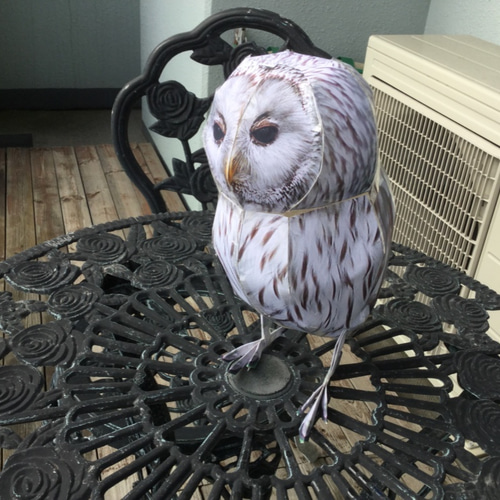 スーパーリアル フクロウ ペパクラ大小2点セット A4版 写真用紙