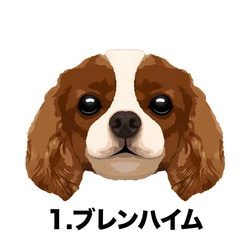 【 キャバリア 毛色4色左下デザイン】スマホケース　クリアソフトケース　うちの子　犬　iPhone & Android 2枚目の画像