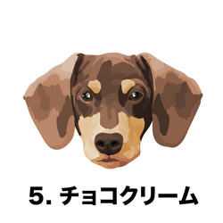 【 ダックスフンド 毛色7色左下デザイン】スマホケース　クリアソフトケース　犬　iPhone & Android 6枚目の画像