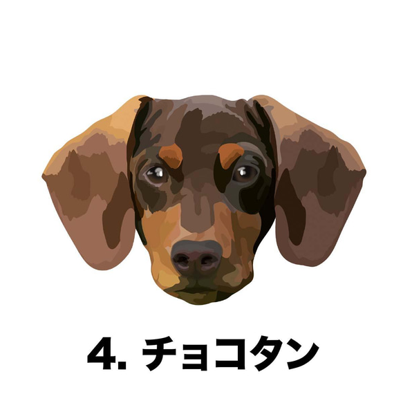 【 ダックスフンド 毛色7色左下デザイン】スマホケース　クリアソフトケース　犬　iPhone & Android 5枚目の画像