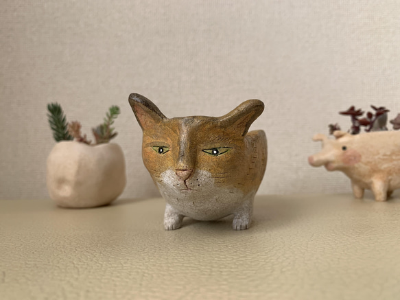 猫豆鉢　キジトラ 10枚目の画像