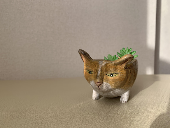 猫豆鉢　キジトラ 9枚目の画像