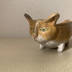 猫豆鉢　キジトラ 5枚目の画像