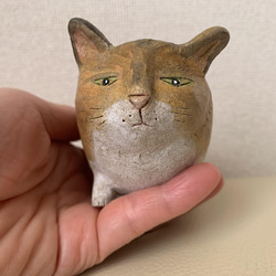 猫豆鉢　キジトラ 4枚目の画像
