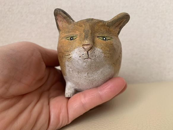 猫豆鉢　キジトラ 4枚目の画像