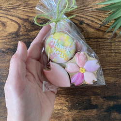 【3袋セット】おめでとう桜のオーガニックアイシングクッキー　プチギフト　お祝い　春　卒園　入学　卒園　お礼 3枚目の画像