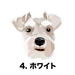 【 シュナウザー 毛色4色横向きデザイン】スマホケース　クリアソフトケース　うちの子　犬　 iPhone&Android 5枚目の画像