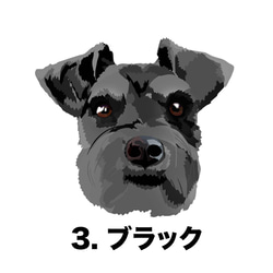 【 シュナウザー 毛色4色横向きデザイン】スマホケース　クリアソフトケース　うちの子　犬　 iPhone&Android 4枚目の画像