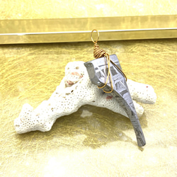 113.特別出品！希少隕石ギベオン14kgfチャーム